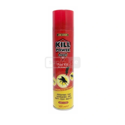 KILL POWER Insecticide Aerosol 300ml | Supta.ge